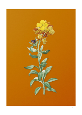 Yellow Wallflower Bloom Botanical on Sunset Orange
