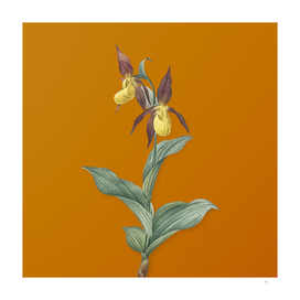 Lady's Slipper Orchid Botanical on Sunset Orange