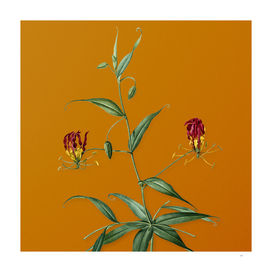Vintage Flame Lily Botanical on Sunset Orange
