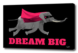 Dream big Flying elephant