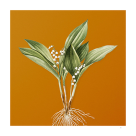 Vintage Lily of the Valley Botanical on Sunset Orange