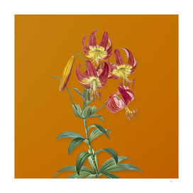 Vintage Turban Lily Botanical on Sunset Orange