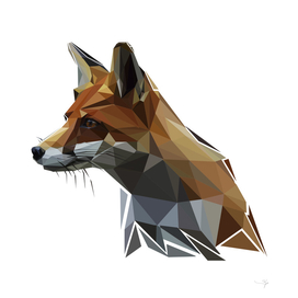 polygonal fox