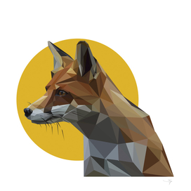 geometric illustration of fox