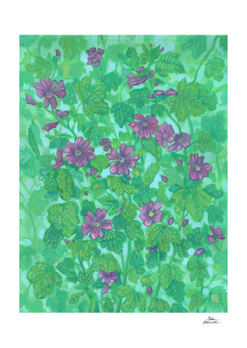 Mallow Bloom, Summer Flowers Floral Painting