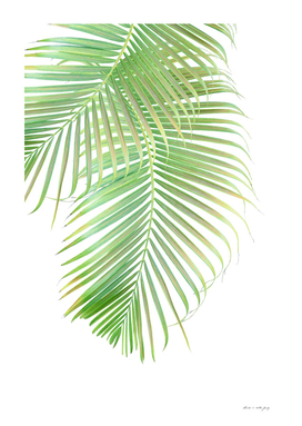 Palm Leaf Delicado #1 #tropical #wall #art