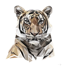 tiger lowpoly art