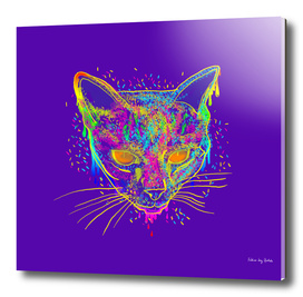 candy cat purple