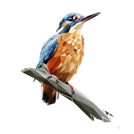 kingfisher Pop art