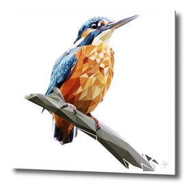 kingfisher Pop art