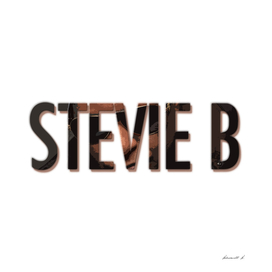 STEVIE B