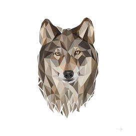 wolf polygonal pop art