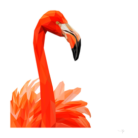Cool flamingo