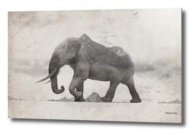 Rocky Elephant