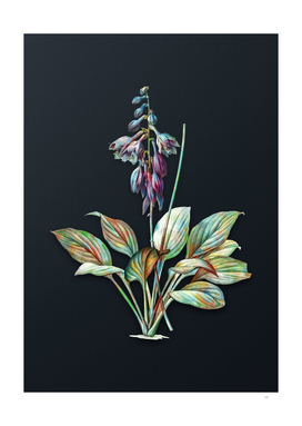 Vintage Watercolor Daylily on Dark Teal Gray
