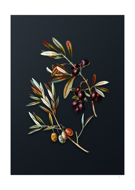 Vintage Watercolor Olive Botanical on Dark Teal Gray