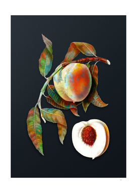 Vintage Watercolor Peach Botanical on Dark Teal Gray