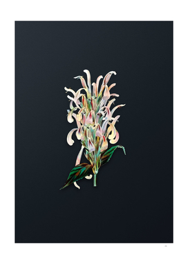 Watercolor Justicia Carnea Flower on Dark Teal Gray