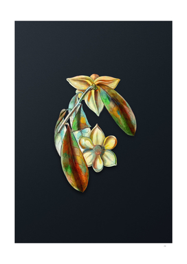 Watercolor Laurel Leaf Custard Apple on Teal Gray