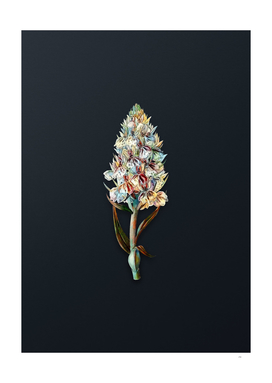 Watercolor Leafy Spiked Orchis Flower on Teal Gray