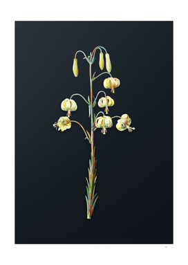 Watercolor Lilium Pyrenaicum on Dark Teal Gray