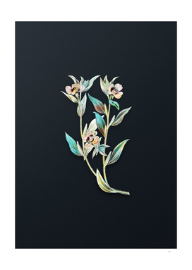 Watercolor Long Branched Enothera on Dark Teal Gray
