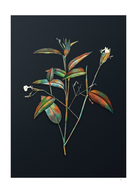 Watercolor Maranta Arundinacea on Dark Teal Gray