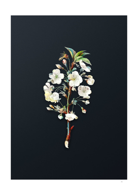 Watercolor Pear Tree Flowers on Dark Teal Gray