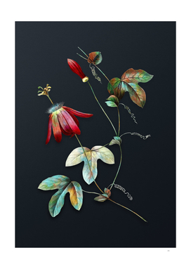 Watercolor Red Passion Flower on Dark Teal Gray
