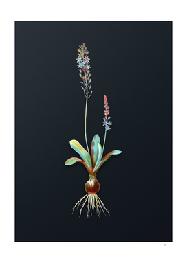 Watercolor Scilla Obtusifolia on Dark Teal Gray