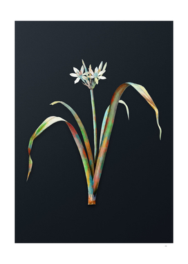 Watercolor Small Flowered Pancratium on Teal Gray