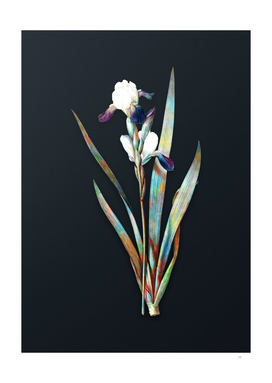 Watercolor Tall Bearded Iris on Dark Teal Gray