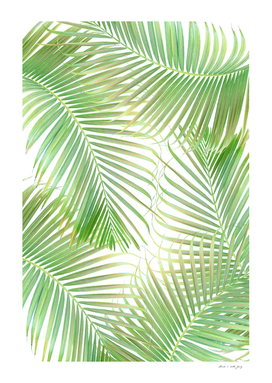 Palm Leaf Delicado Pattern #1 #tropical #wall #art