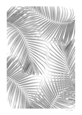 Palm Leaf Delicado Pattern #2 #tropical #wall #art