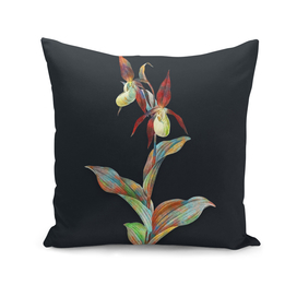 Vintage Lady's Slipper Orchid on Dark Teal Gray