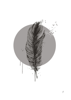 Feather in a circle (bw)
