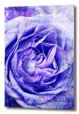 Poesie purple