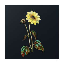Vintage Trumpet Stalked Sunflower on Dark Teal Gray