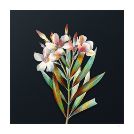 Vintage Watercolor Oleander on Dark Teal Gray
