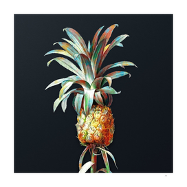 Vintage Watercolor Pineapple on Dark Teal Gray