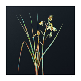 Vintage Watercolor Slime Lily on Dark Teal Gray