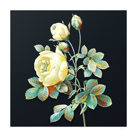 Vintage Watercolor Yellow Rose on Dark Teal Gray