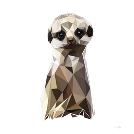 meerkat Pop art