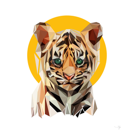 Tiger  Pop art