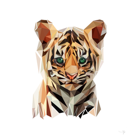 Cute Baby tiger pop art
