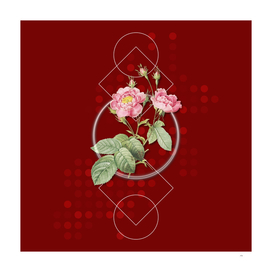 Vintage Anemone Centuries Rose Botanical on Geometric
