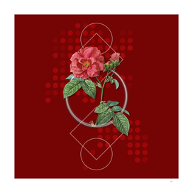 Vintage Apothecary Rose Botanical on Geometric