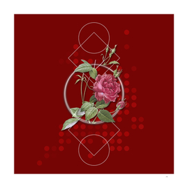 Vintage Blood Red Bengal Rose Botanical on Geometric