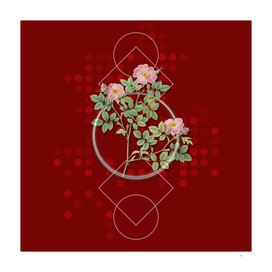 Vintage Blooming Rose Corymb Botanical on Geometric