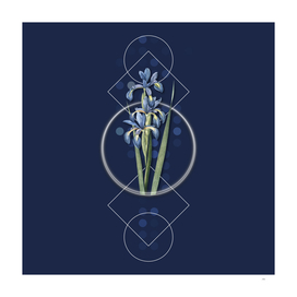 Vintage Blue Iris Botanical on Geometric Art Deco